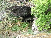 otta Intraleo-20100515 068